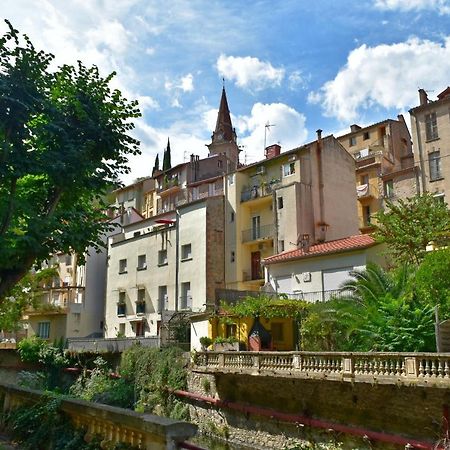 T2 Tout Confort Amélie-les-Bains-Palalda Εξωτερικό φωτογραφία
