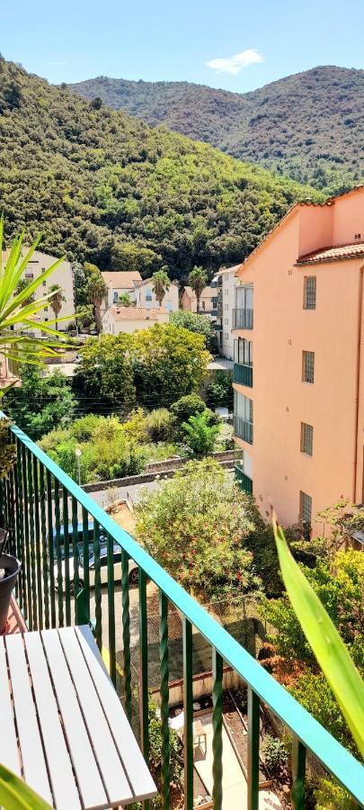 T2 Tout Confort Amélie-les-Bains-Palalda Εξωτερικό φωτογραφία