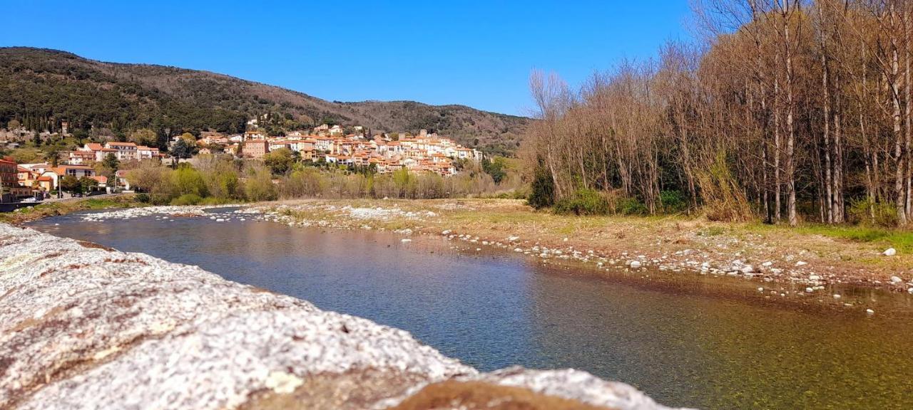 T2 Tout Confort Amélie-les-Bains-Palalda Εξωτερικό φωτογραφία