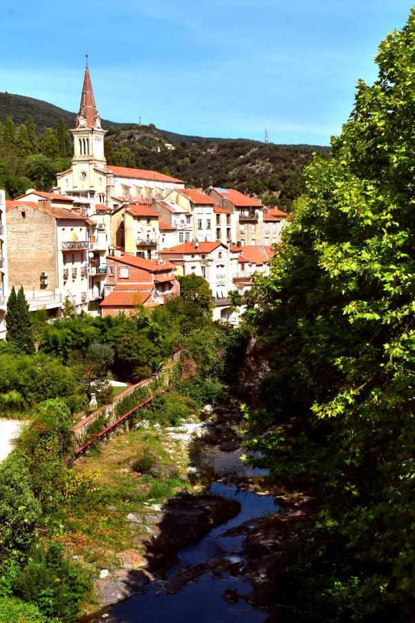 T2 Tout Confort Amélie-les-Bains-Palalda Εξωτερικό φωτογραφία