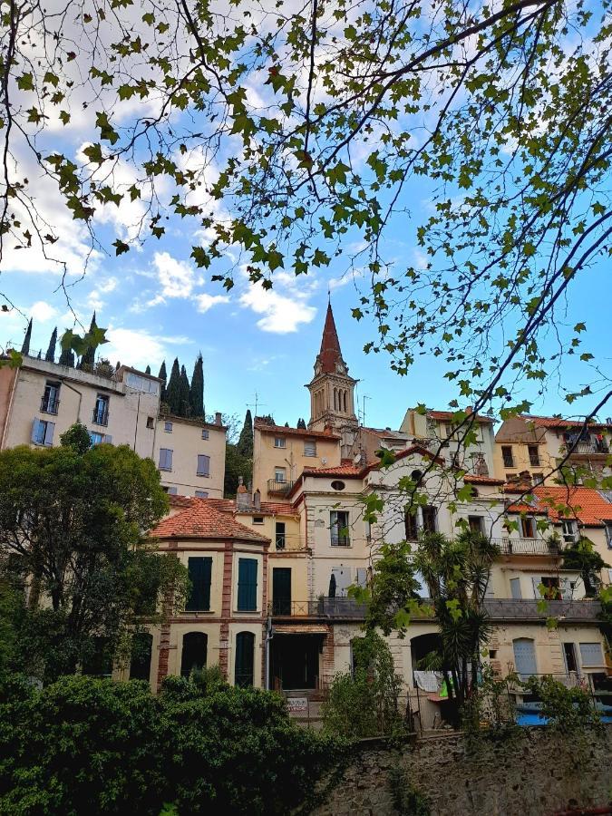 T2 Tout Confort Amélie-les-Bains-Palalda Εξωτερικό φωτογραφία
