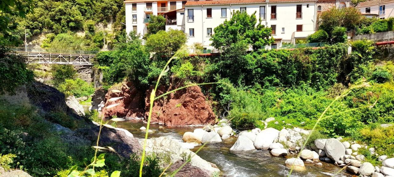 T2 Tout Confort Amélie-les-Bains-Palalda Εξωτερικό φωτογραφία